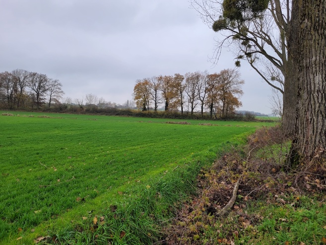 Le projet en bref Le projet en bref